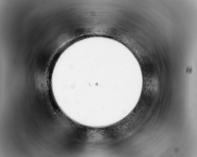 X0000103940680200810101417