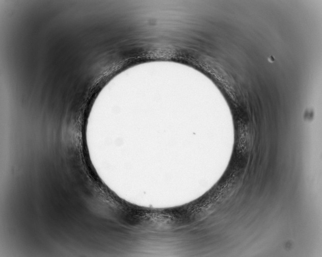 X0000103940681200810101417