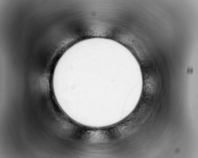 X0000103940688200810101416