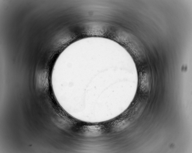 X0000103940692200810101416