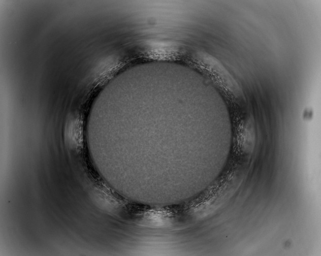 X0000103940696200810101416