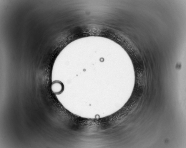 X0000103940697200810101416