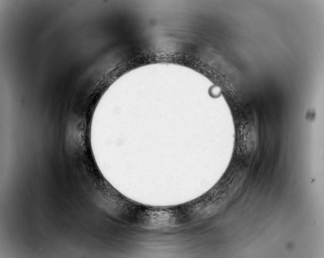 X0000103940698200810101416