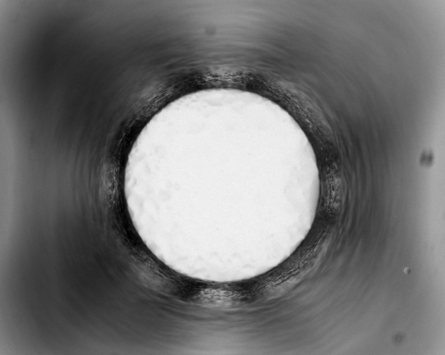 X0000103940699200810101416