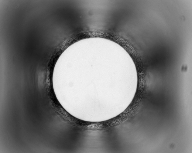 X0000103940700200810101416