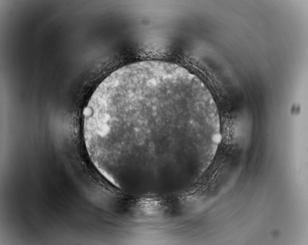 X0000103940701200810101416