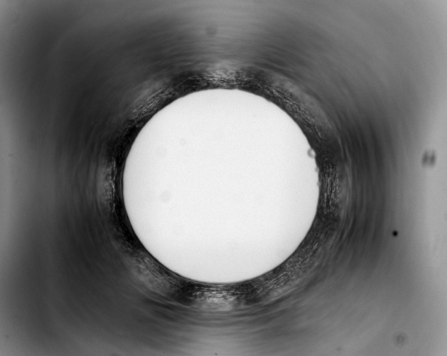 X0000103940702200810101416