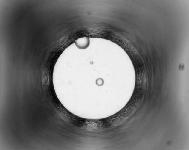 X0000103940703200810101416