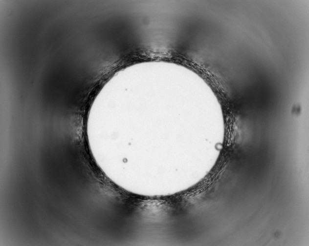 X0000103940704200810101416