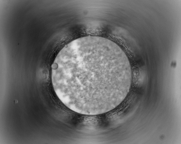 X0000103940705200810101416