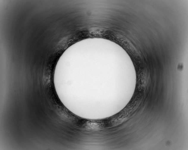 X0000103940706200810101416