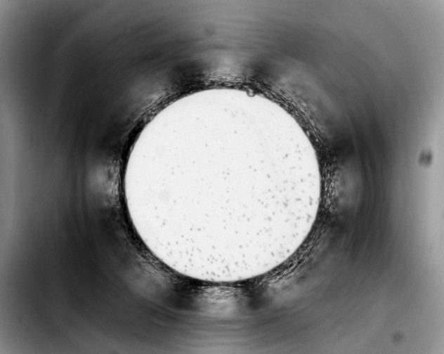 X0000103940708200810101416