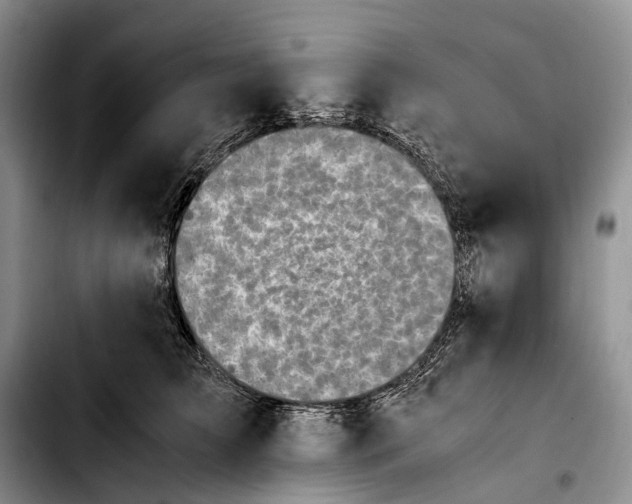 X0000103940709200810101416