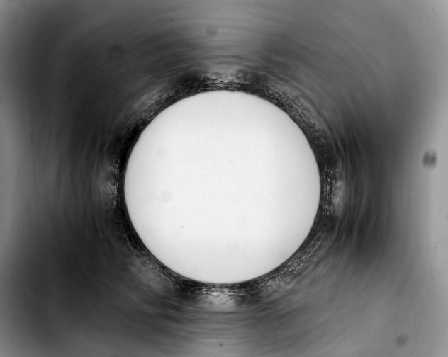 X0000103940710200810101416