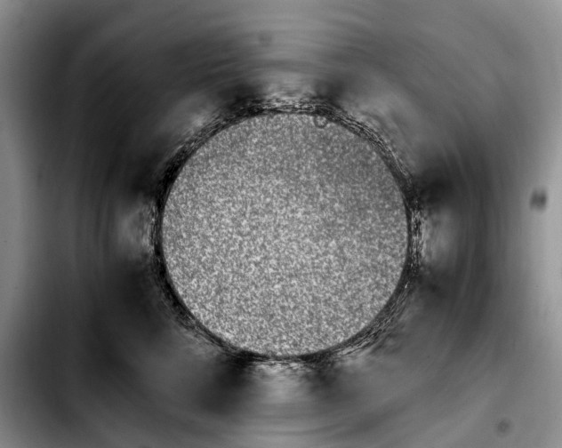 X0000103940712200810101416