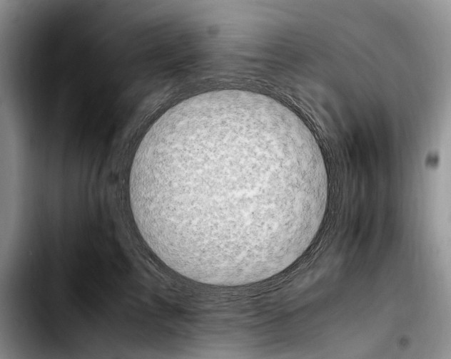 X0000103940713200810101416