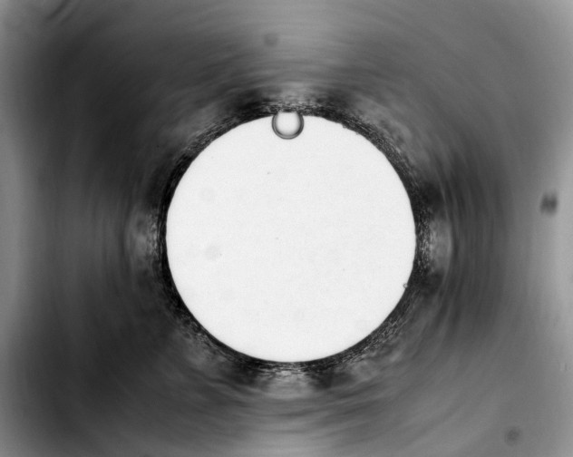 X0000103940715200810101416