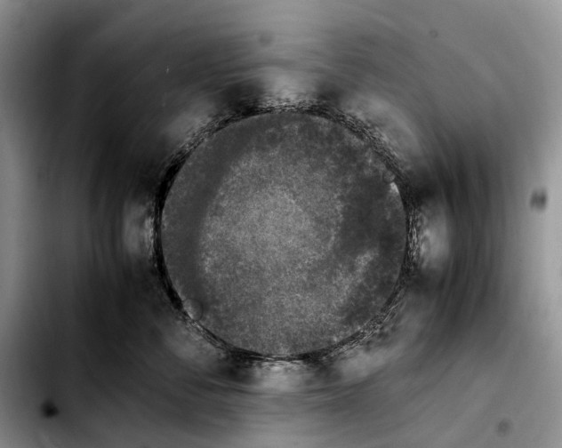 X0000103940716200810101416