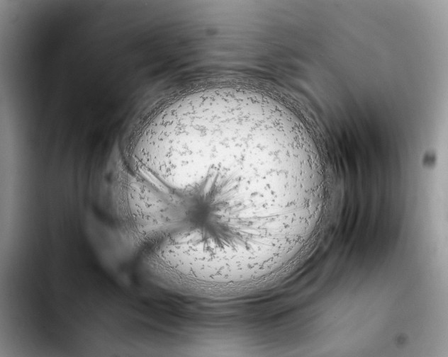 X0000103940717200810101416