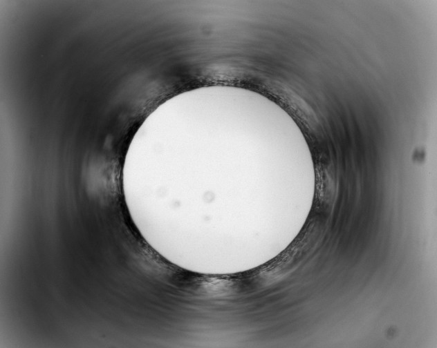 X0000103940718200810101416