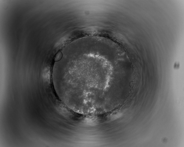 X0000103940720200810101416