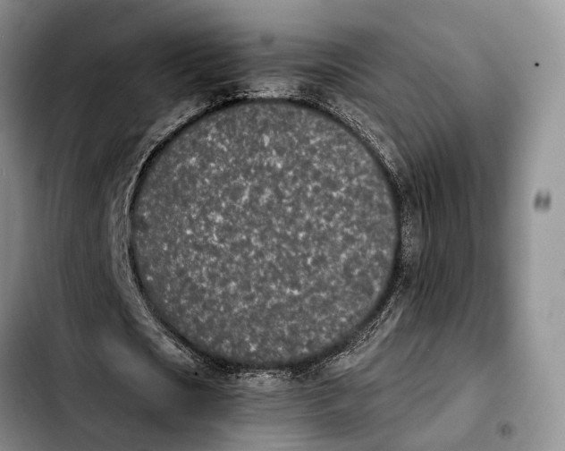 X0000103940721200810101415