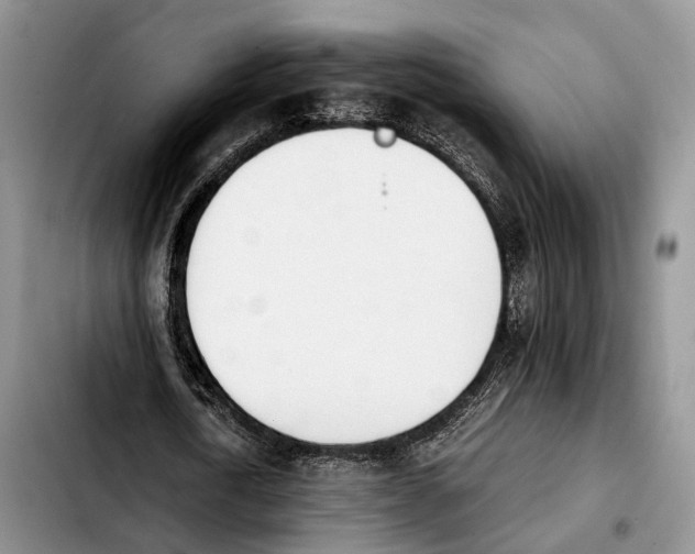 X0000103940722200810101415