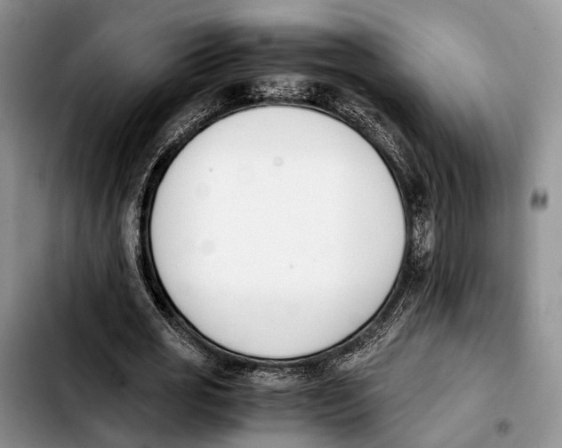 X0000103940725200810101415