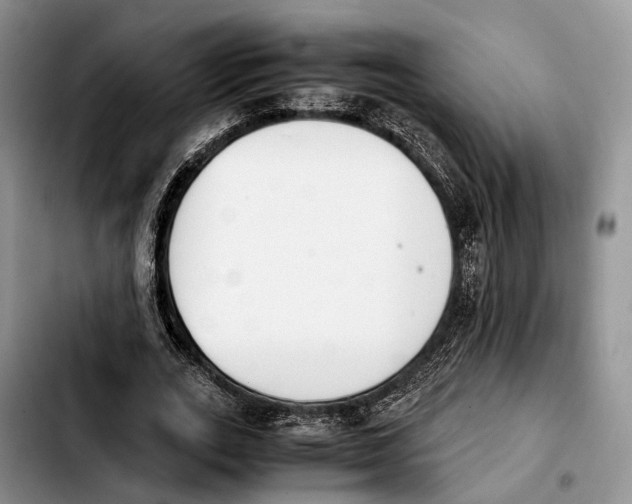 X0000103940727200810101415