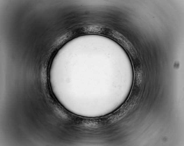 X0000103940729200810101415