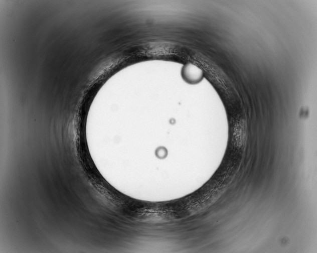 X0000103940732200810101415