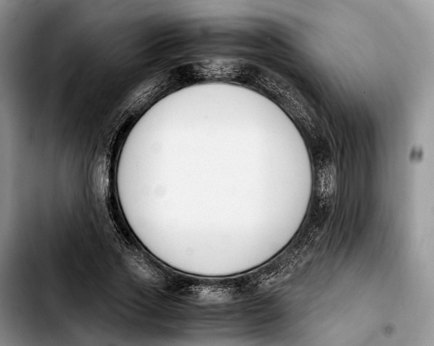 X0000103940733200810101415