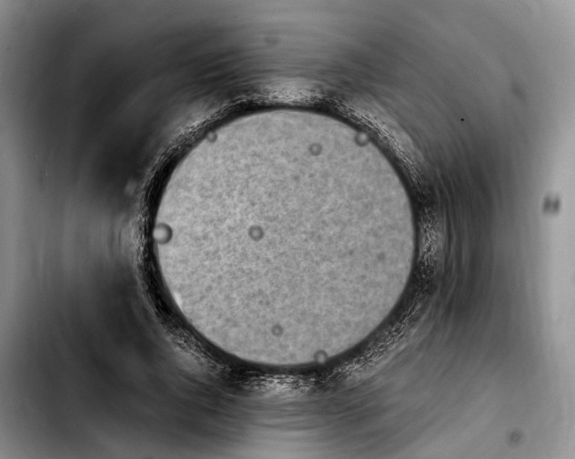 X0000103940736200810101416