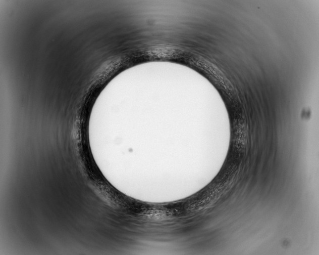 X0000103940738200810101416