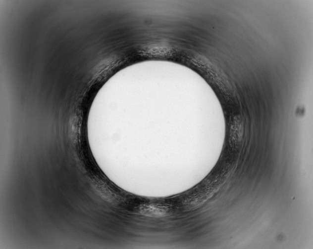 X0000103940739200810101416