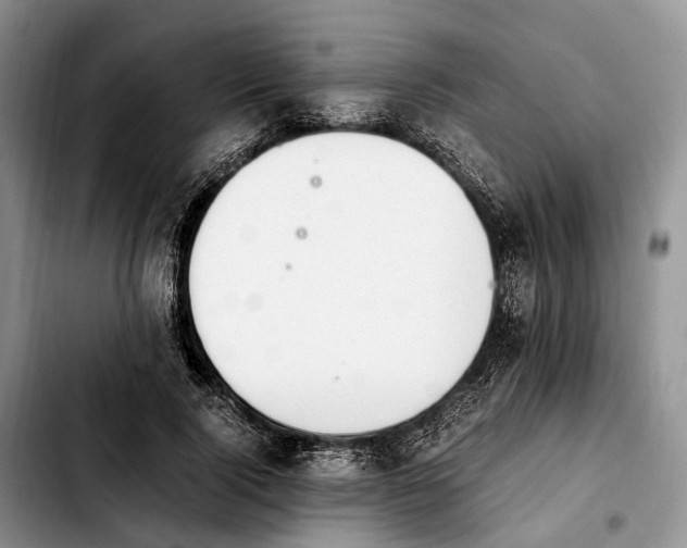 X0000103940740200810101416