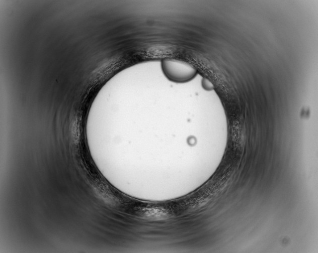 X0000103940741200810101416