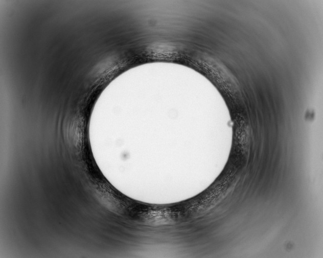 X0000103940744200810101416