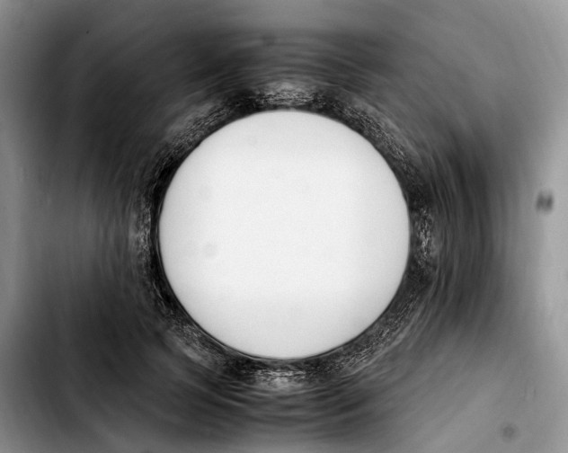 X0000103940745200810101416