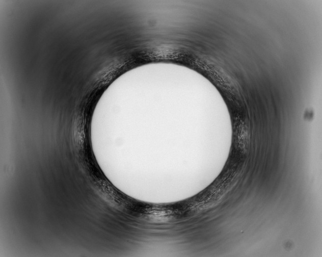 X0000103940746200810101416