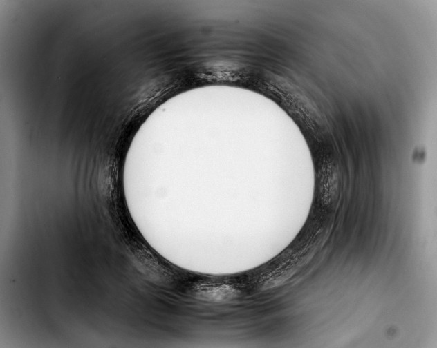 X0000103940747200810101416