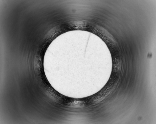 X0000103940748200810101416