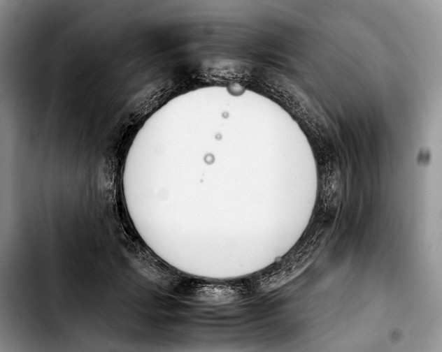 X0000103940749200810101416