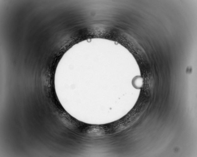 X0000103940750200810101416