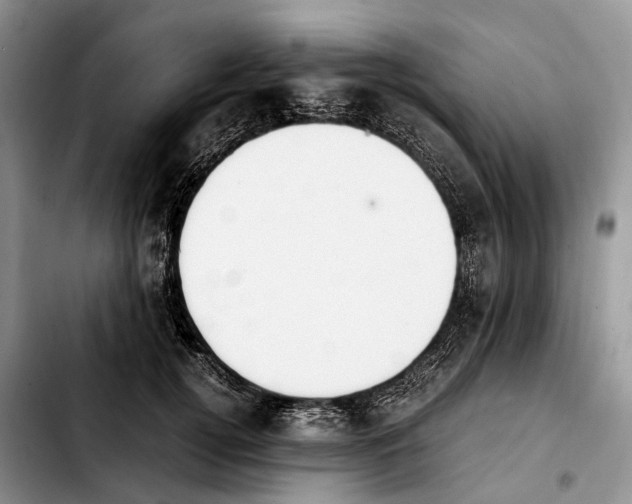 X0000103940752200810101416