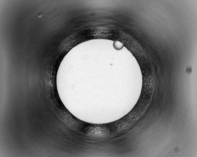 X0000103940755200810101416