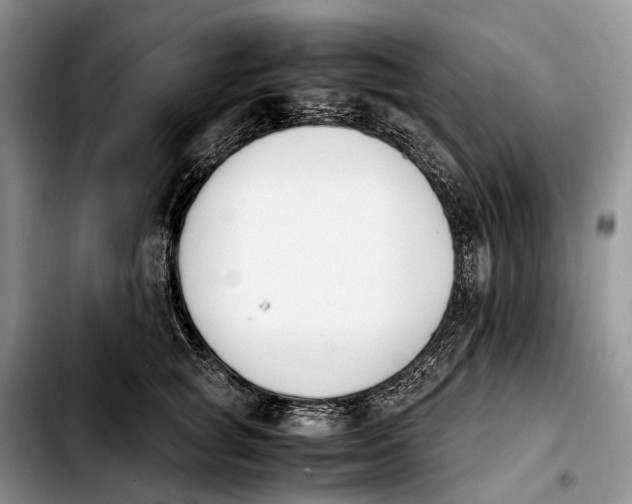 X0000103940757200810101416