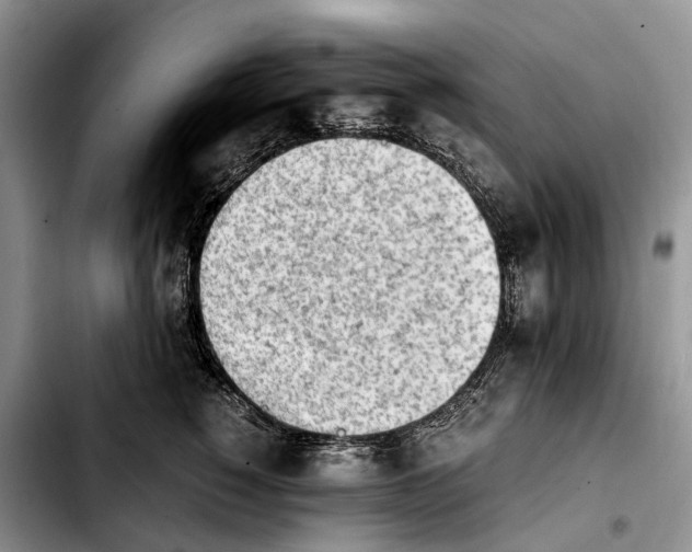 X0000103940760200810101416