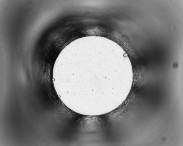 X0000103940762200810101416