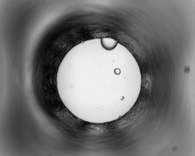 X0000103940763200810101416